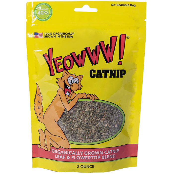 Yeowww! Catnip