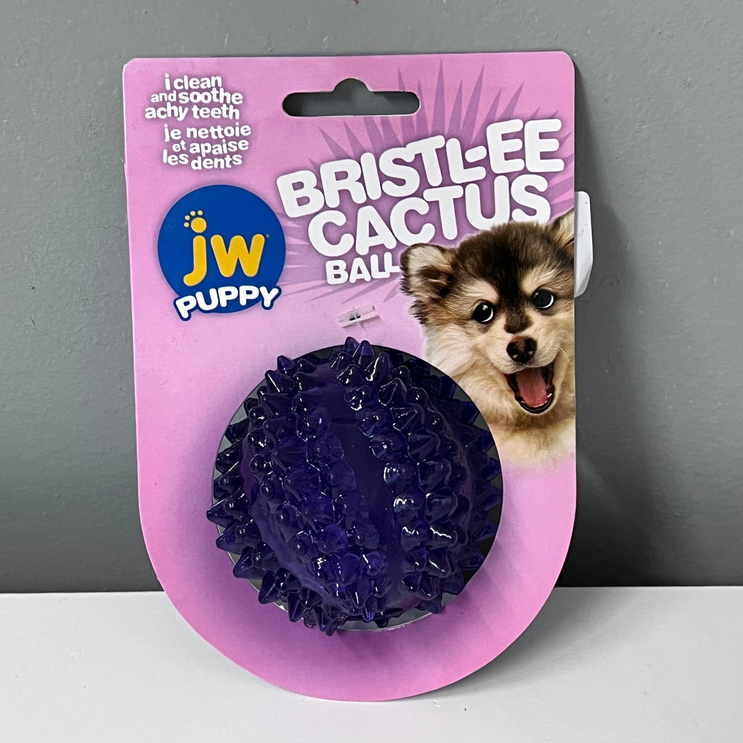 JW Bristl-ee Cactus Puppy Toy