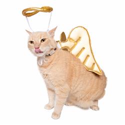Angel Costume