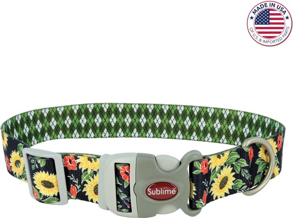 Coastal Pet Sunflower Adjustable Collar
