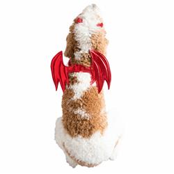 Devil Costume
