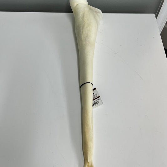 Home Range Full Length Bull Tail