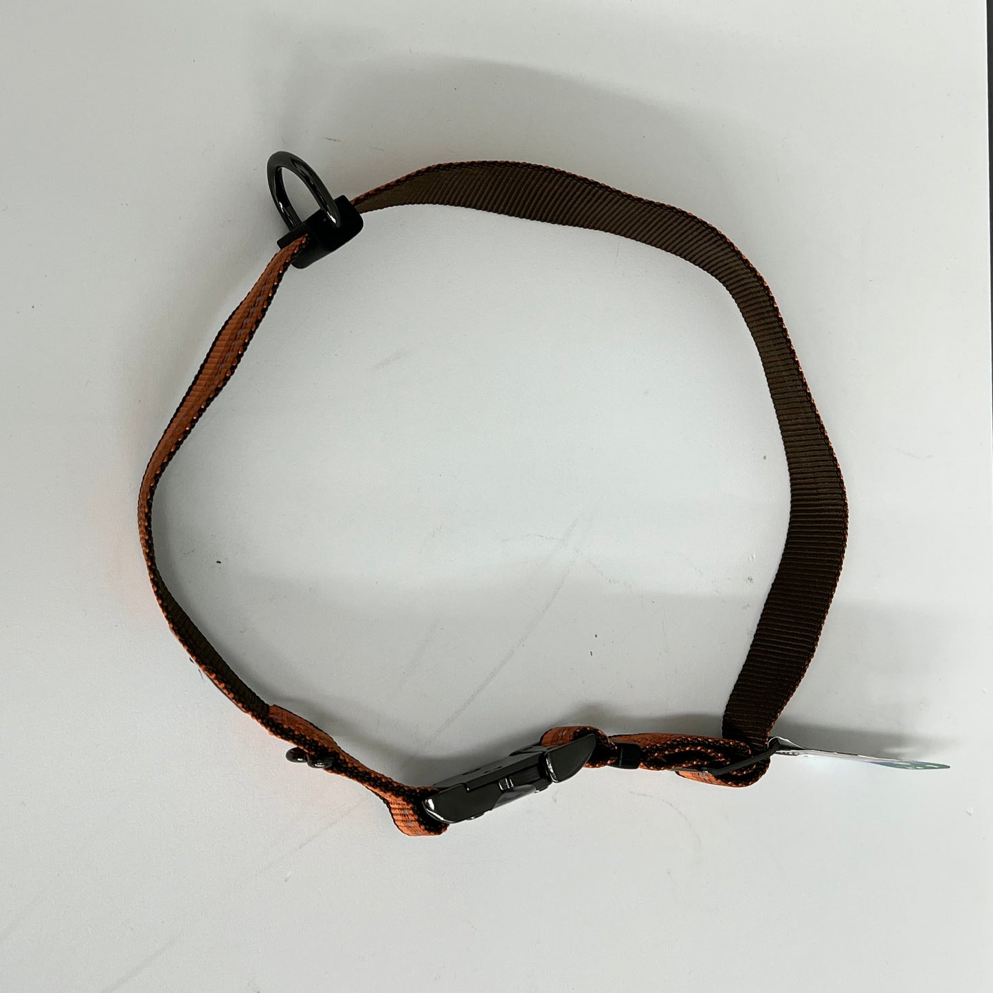Coastal Pet K9 Explorer Orange Collar- LG