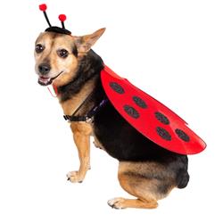 Ladybug Costume