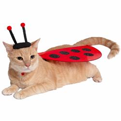 Ladybug Costume