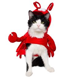 Lobster Costume- Small