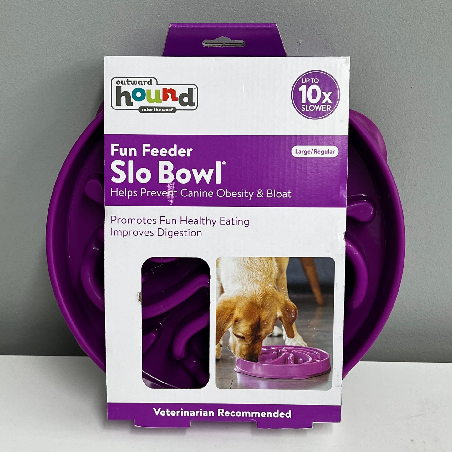 Outward Hound Fun Feeder Slo Bowl- Large (4 cup)
