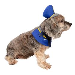 Police Costume