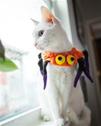 Spider Collar Costume