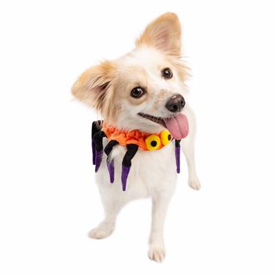Spider Collar Costume