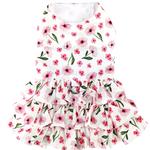 Spring Wildflower Dress w/ Matching Leash