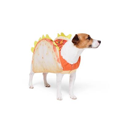 Taco Costume