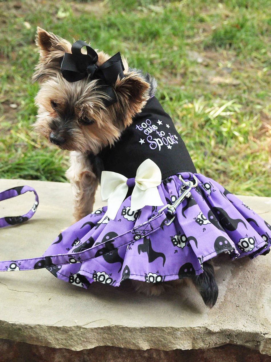Halloween Too Cute to Spook Dress w/ Matching Leash