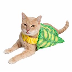 Turtle Costume