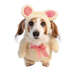 Walking Teddy Bear Costume- Lg
