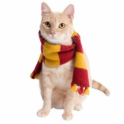 Wizard Scarf Costume