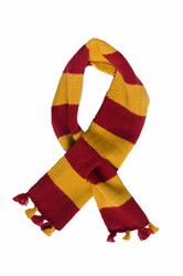 Wizard Scarf Costume