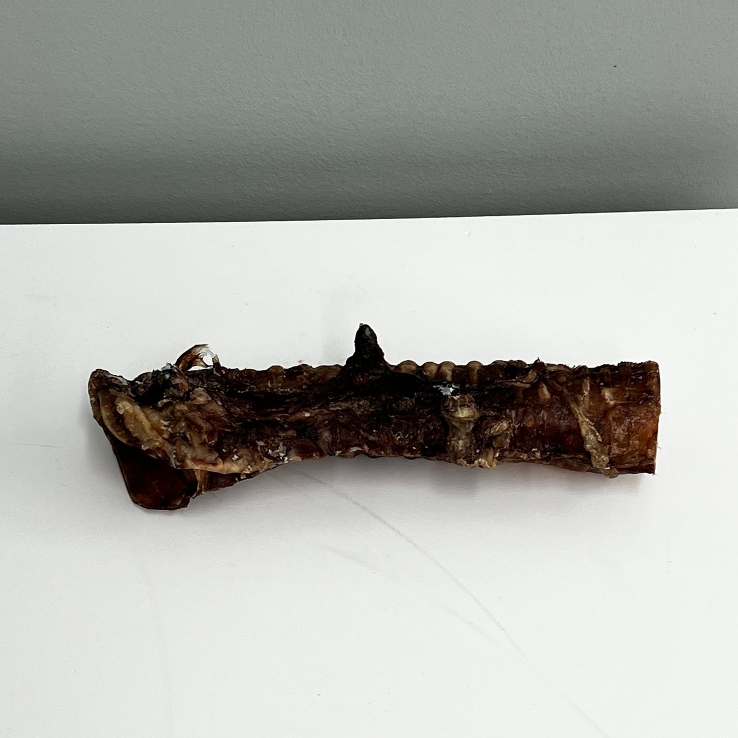 Large Beef Trachea