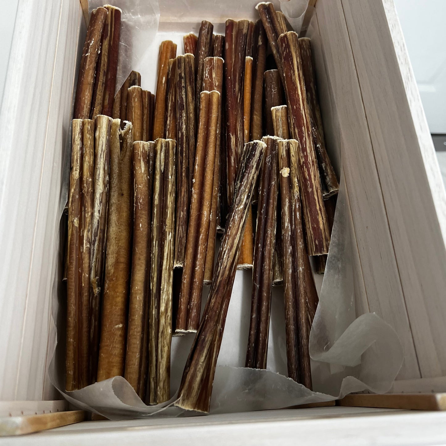 6" Bully Stick