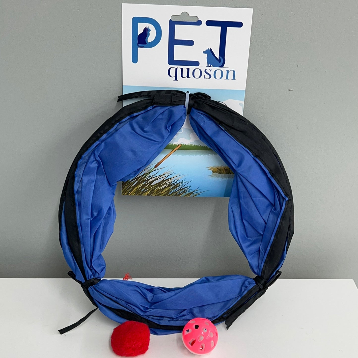 Small Cat Tunnel