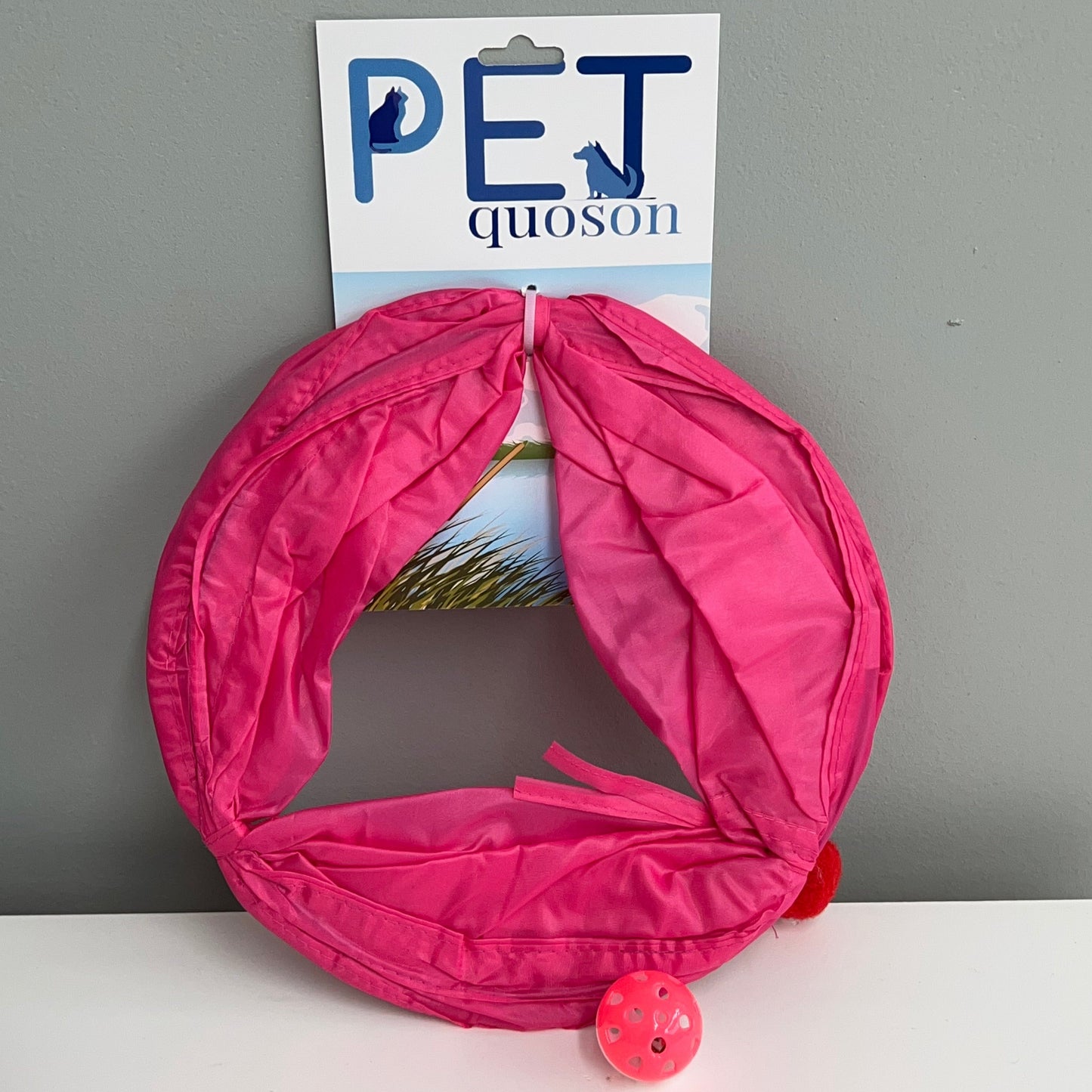 Small Cat Tunnel