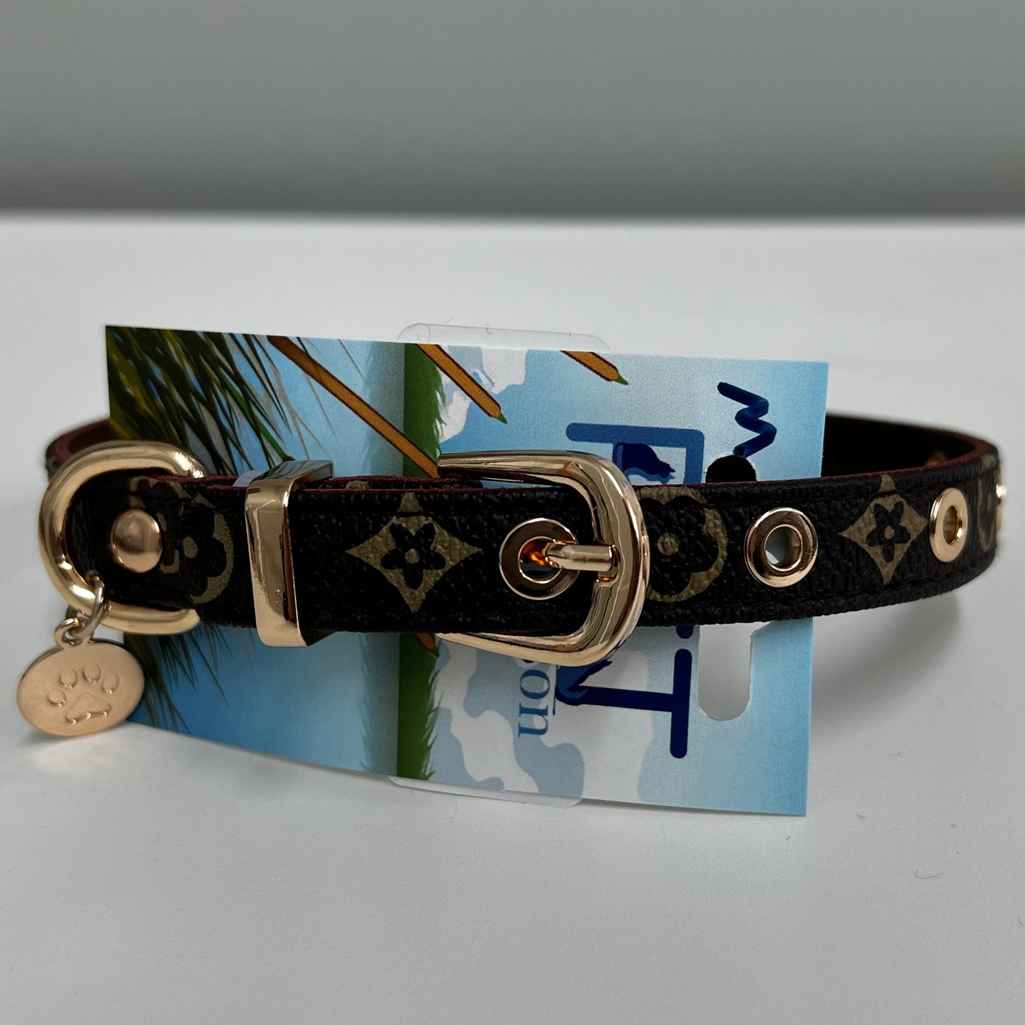 Designer Dog Collar