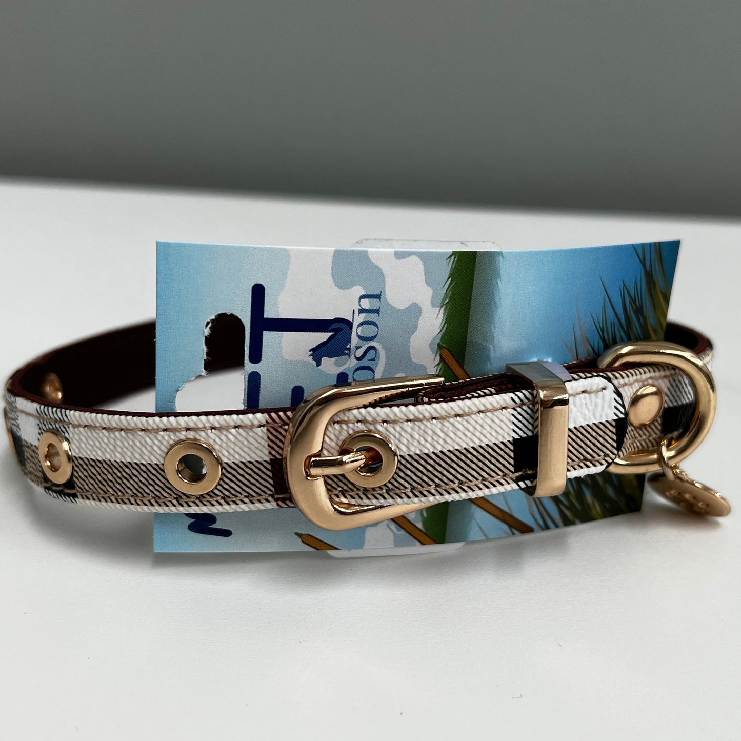 Designer Dog Collar