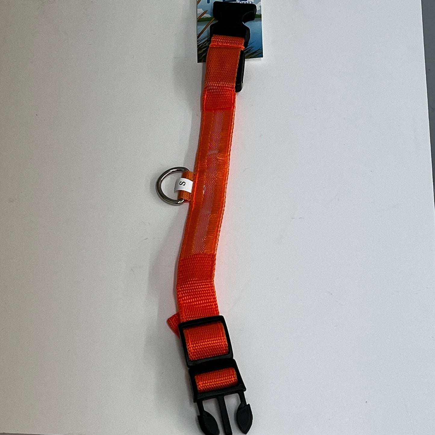 LED Nylon Collar- Large