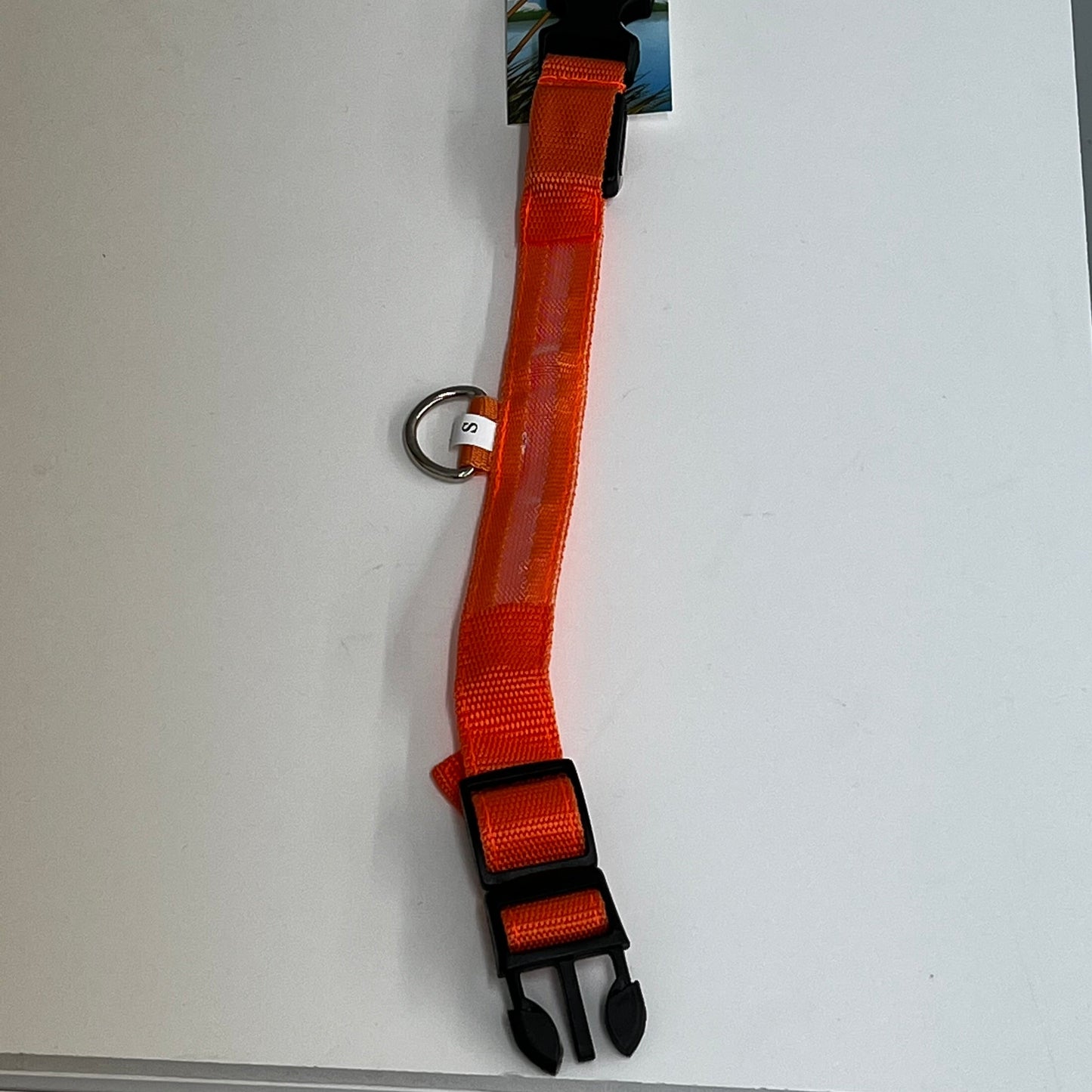 LED Nylon Collar- Small