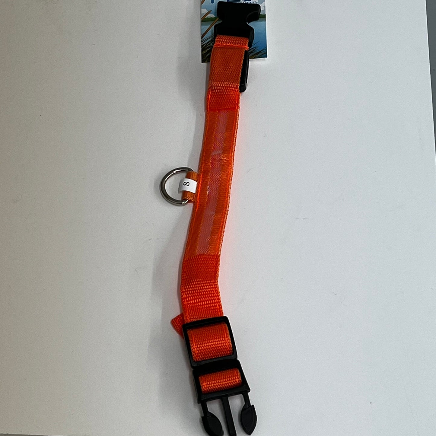 LED Nylon Collar- Medium