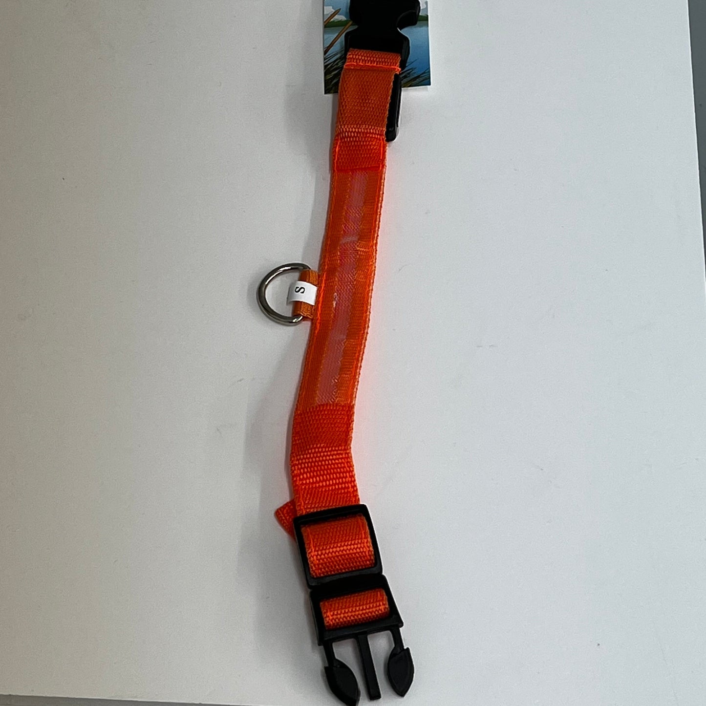 LED Nylon Collar-Extra Large