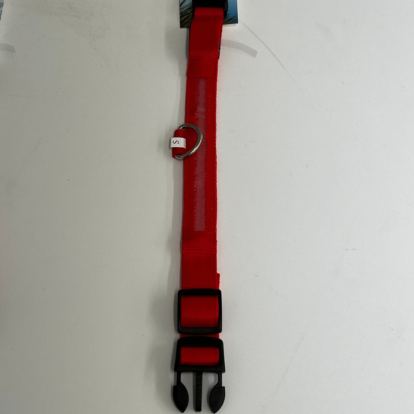 LED Nylon Collar- Small