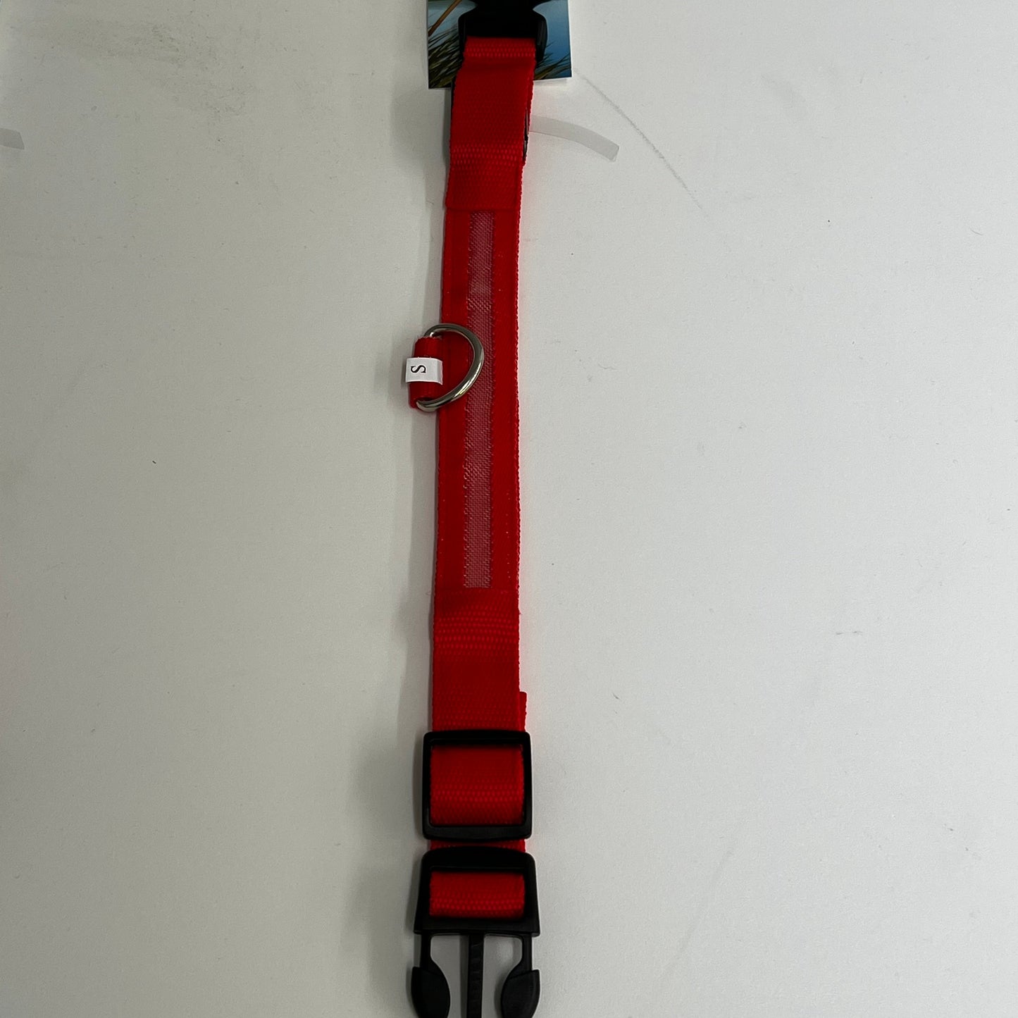 LED Nylon Collar-Extra Large