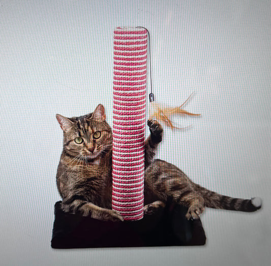 Candy Cane Cat Scratcher