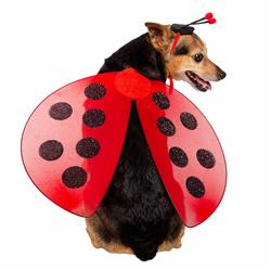 Ladybug Costume