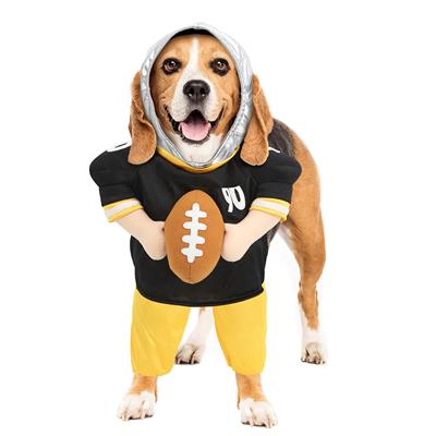 Quarterbark Football Costume