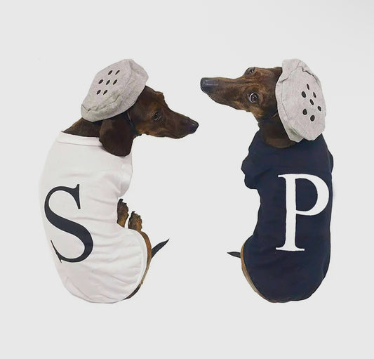 Pepper Costume