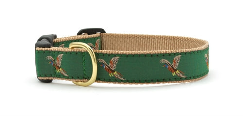 Pheasant Up Country Collar