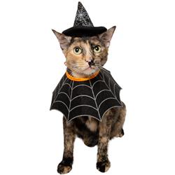 Witch Hat/Collar Costume