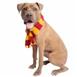 Wizard Scarf Costume