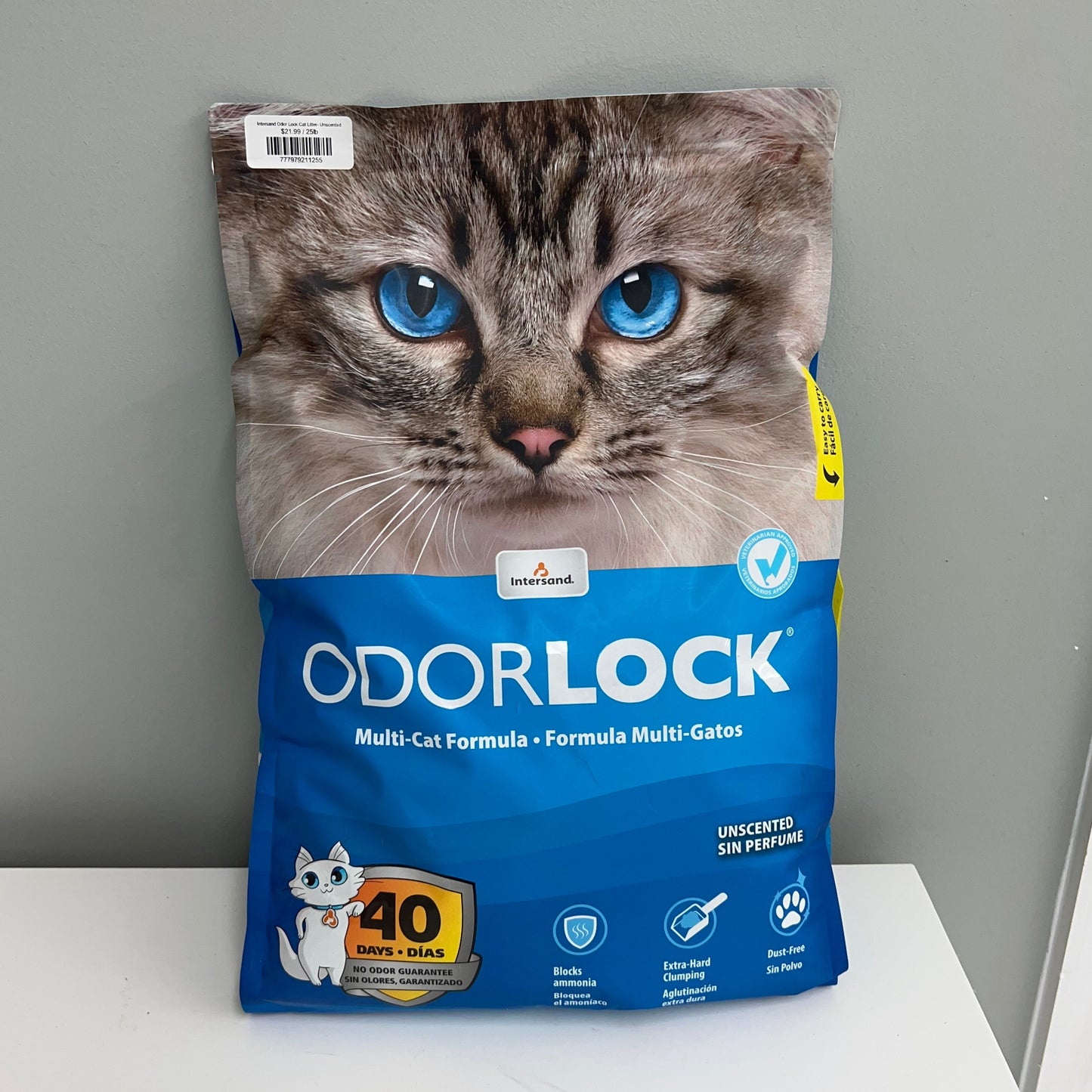 Intersand Odor Lock Cat Litter- Unscented
