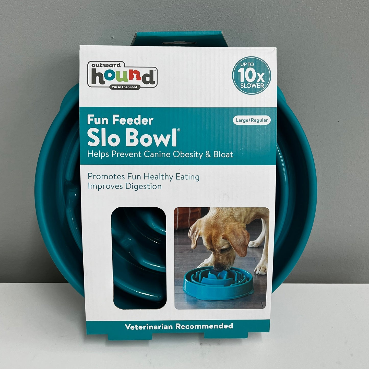 Outward Hound Fun Feeder Slo Bowl- Large (4 cup)