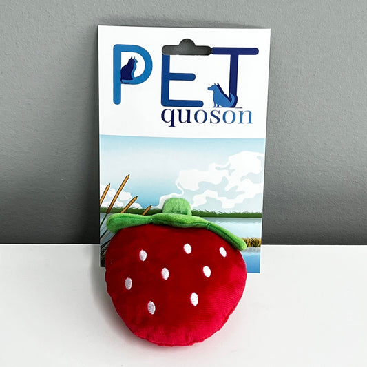 Strawberry Plush Toy